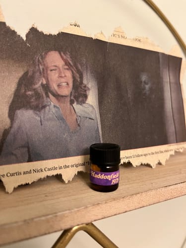 Customer photo review of Haddonfield 1978