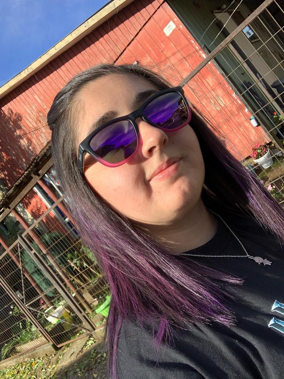 Customer photo review of BOSS KEMP