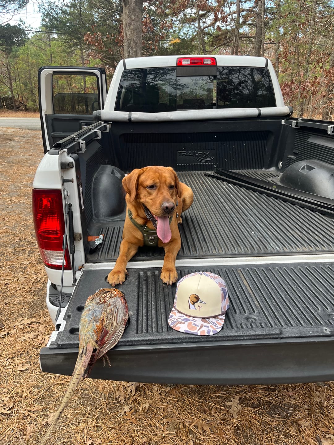 Customer photo review of Pintail Duck Head - Old School