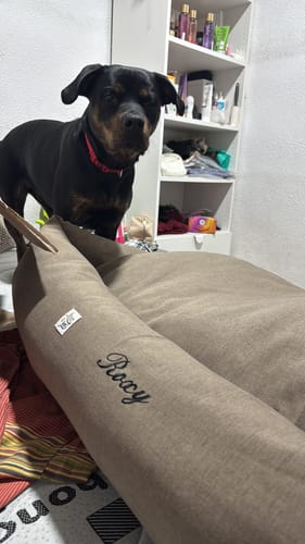 Customer photo review of Ricamo (NON RIMUOVERE)