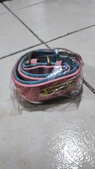 Customer photo review of Customized Leather ID Nameplate Dog Collar Soft Padded Dogs Collars Free Engraving Name for Small Medium Large Dogs Adjustable