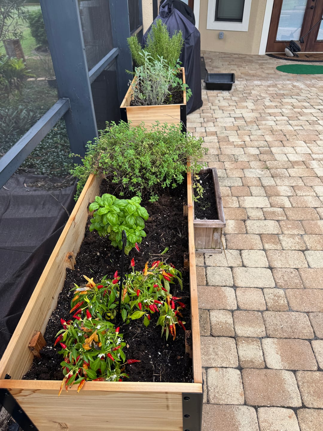 Customer photo review of Raised Garden Bed - 46cm x 122cm x 76cm