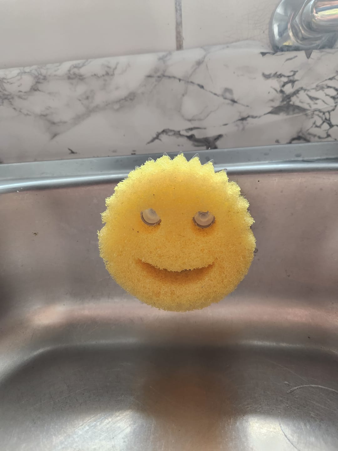 Customer photo review of Scrub Daddy Original