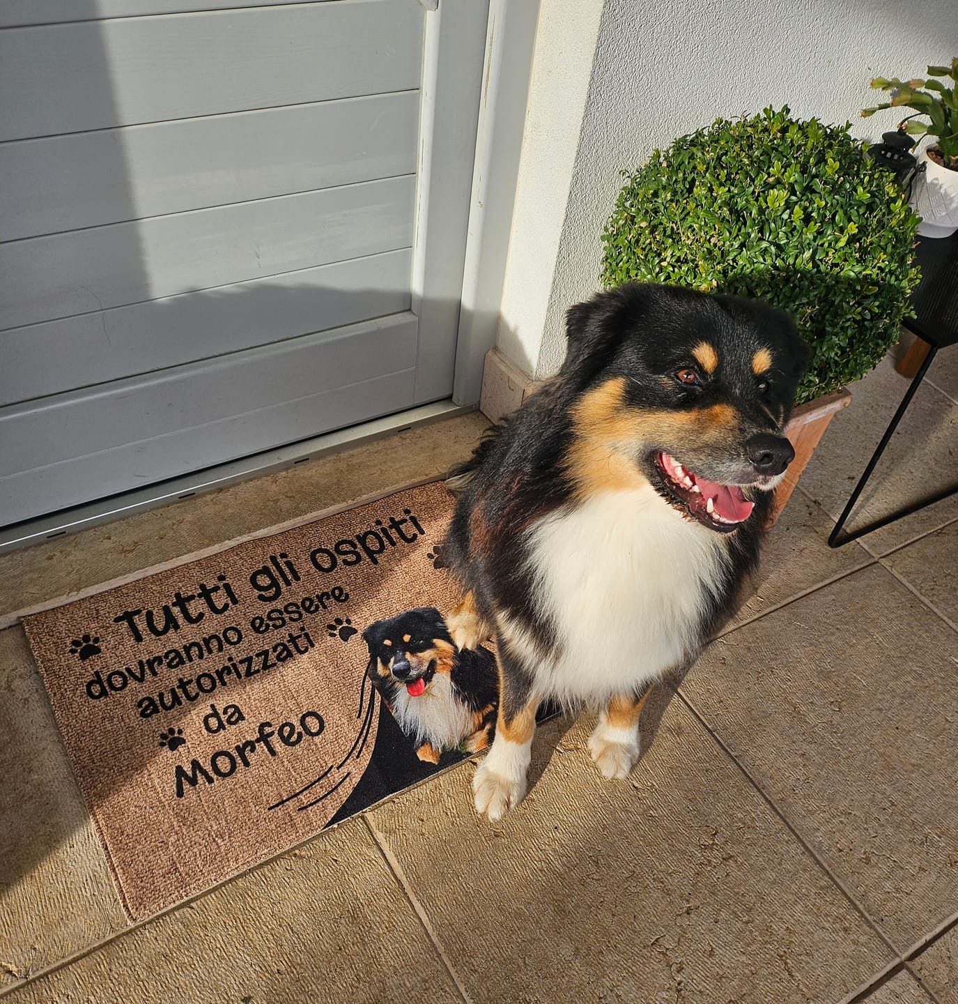 Customer photo review of Ospiti autorizzati - Zerbino personalizzato