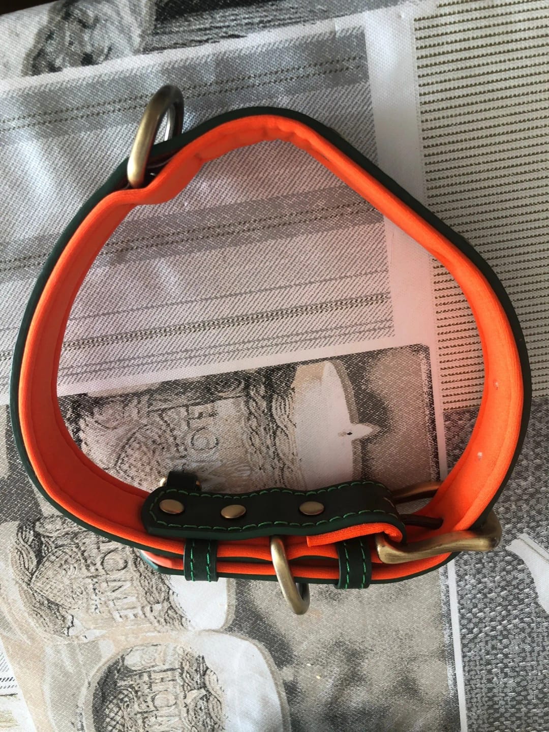 Customer photo review of Customized Leather ID Nameplate Dog Collar Soft Padded Dogs Collars Free Engraving Name for Small Medium Large Dogs Adjustable