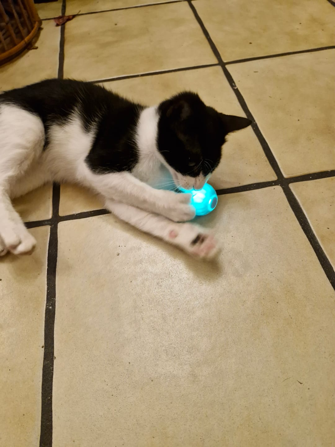 Customer photo review of POWER BALL 2.0
