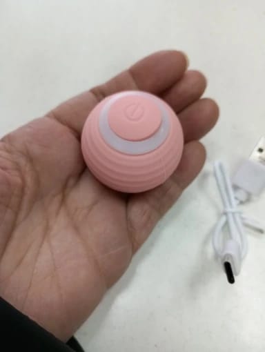Customer photo review of Cat Interactive Electronic Automatic Rolling Magic Ball Toy: Self-moving Kitten Electric Ball for Cat Training