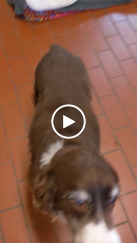 Customer video review of Mystery Gift