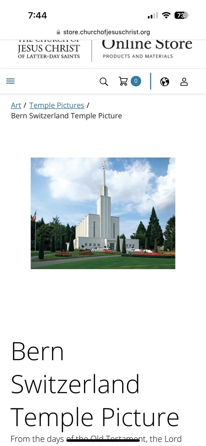 Customer photo review of Washington DC Temple Music Light