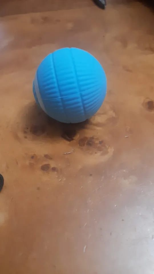 Customer photo review of Cat Interactive Electronic Automatic Rolling Magic Ball Toy: Self-moving Kitten Electric Ball for Cat Training
