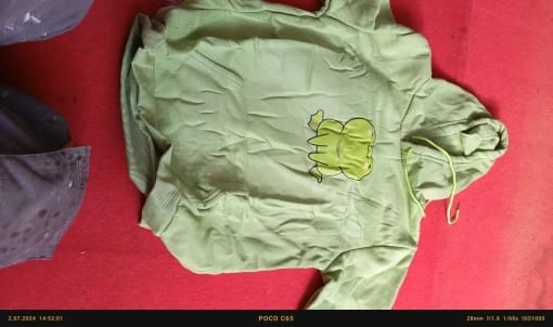 Customer photo review of Kawaii Frog Hoodie