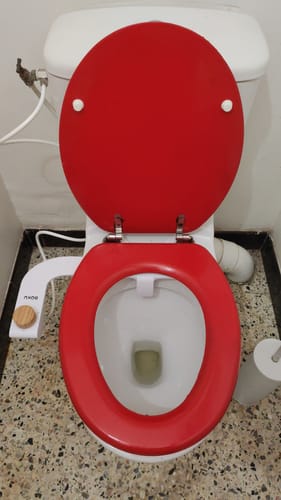 Customer photo review of Bidet BOKU