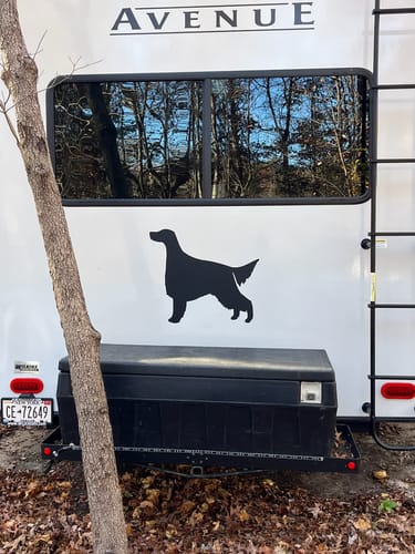 Customer photo review of Simple Irish Setter Decal