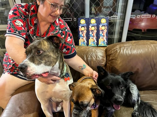 Margaret W. review of Advent Calendar Christmas TOWER Dog Treats  - PREORDER NOW! image 1 out of 2