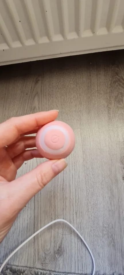 Customer photo review of Cat Interactive Electronic Automatic Rolling Magic Ball Toy: Self-moving Kitten Electric Ball for Cat Training