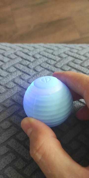 Customer photo review of Cat Interactive Electronic Automatic Rolling Magic Ball Toy: Self-moving Kitten Electric Ball for Cat Training