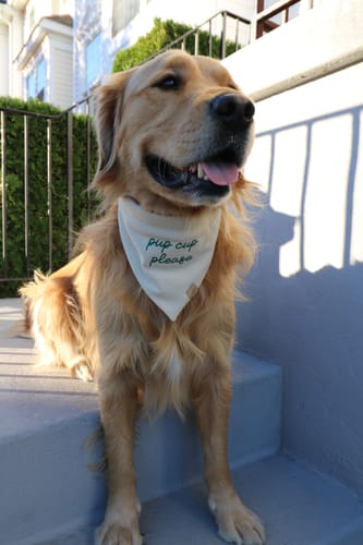 Customer photo review of Custom Saying Embroidered Bandana