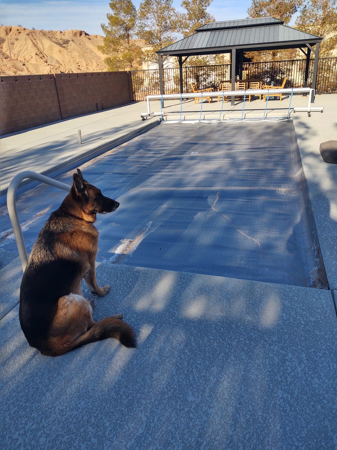 Customer photo review of GeoBubble RaeGuard™ Heat Retaining Pool Cover