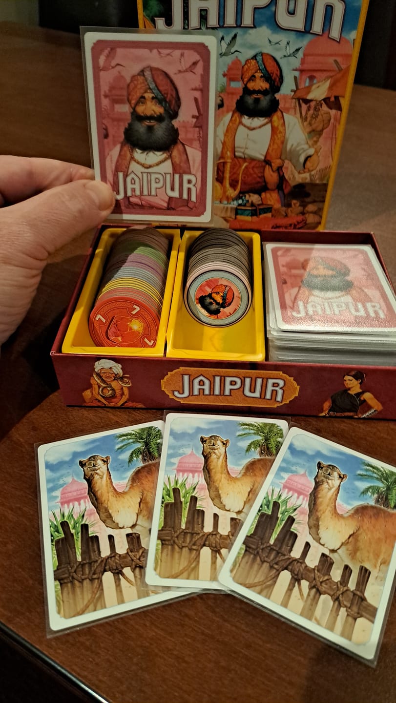 Customer photo review of Jaipur Card Sleeve Kit