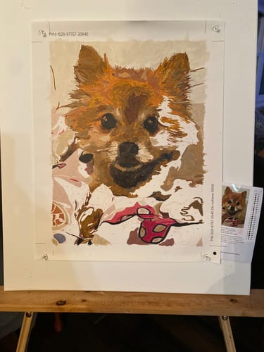 Customer photo review of Custom Paint By Numbers Kit - Upload Your Photo - Brush Set Included