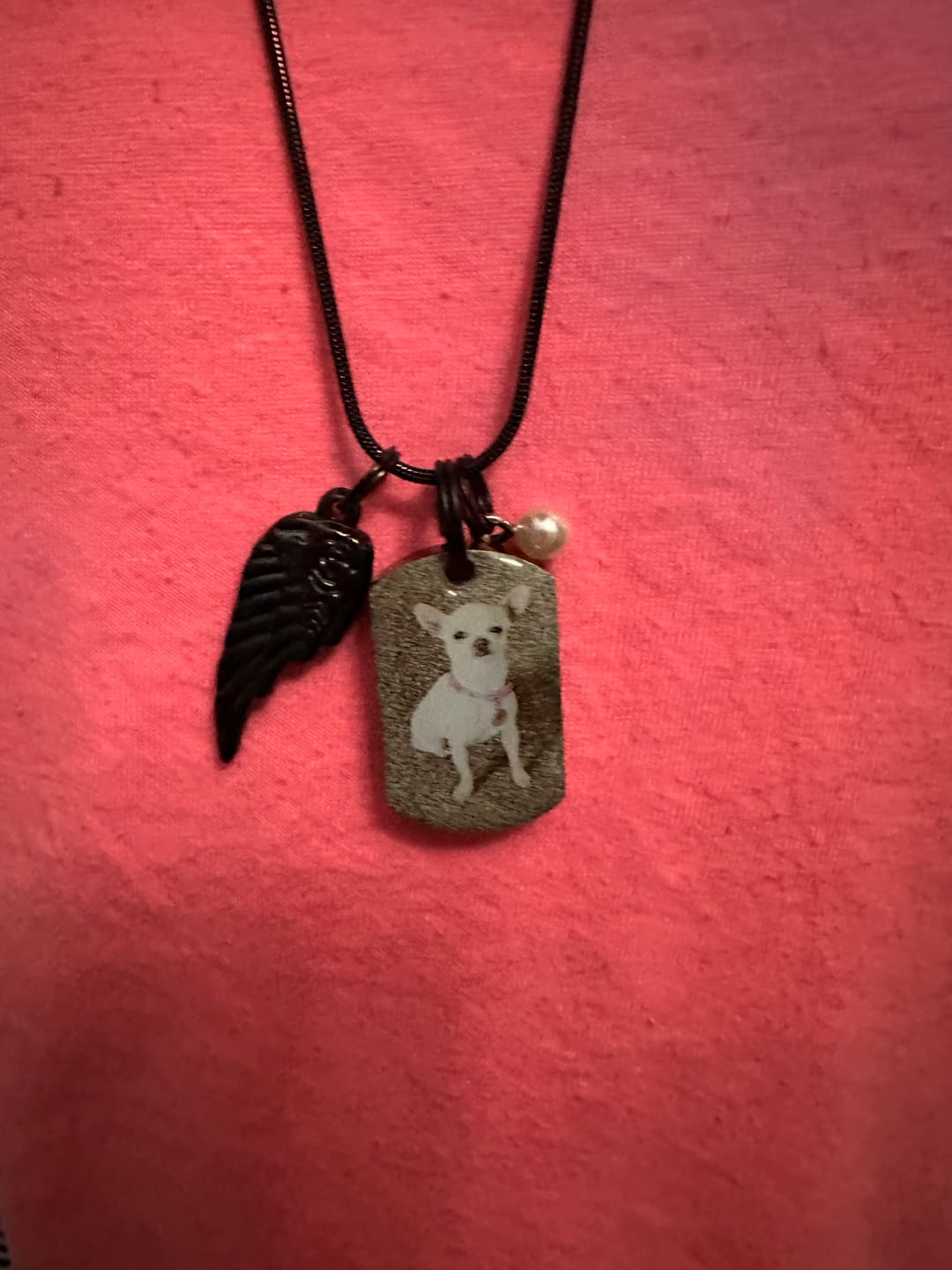 Customer photo review of Personalized Photo Urn Necklace for Pet