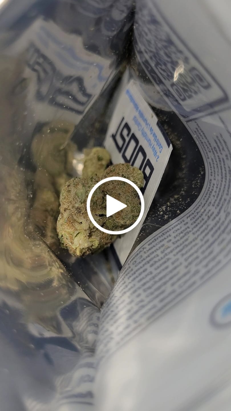 Customer video review of Mochi - THCa Flower