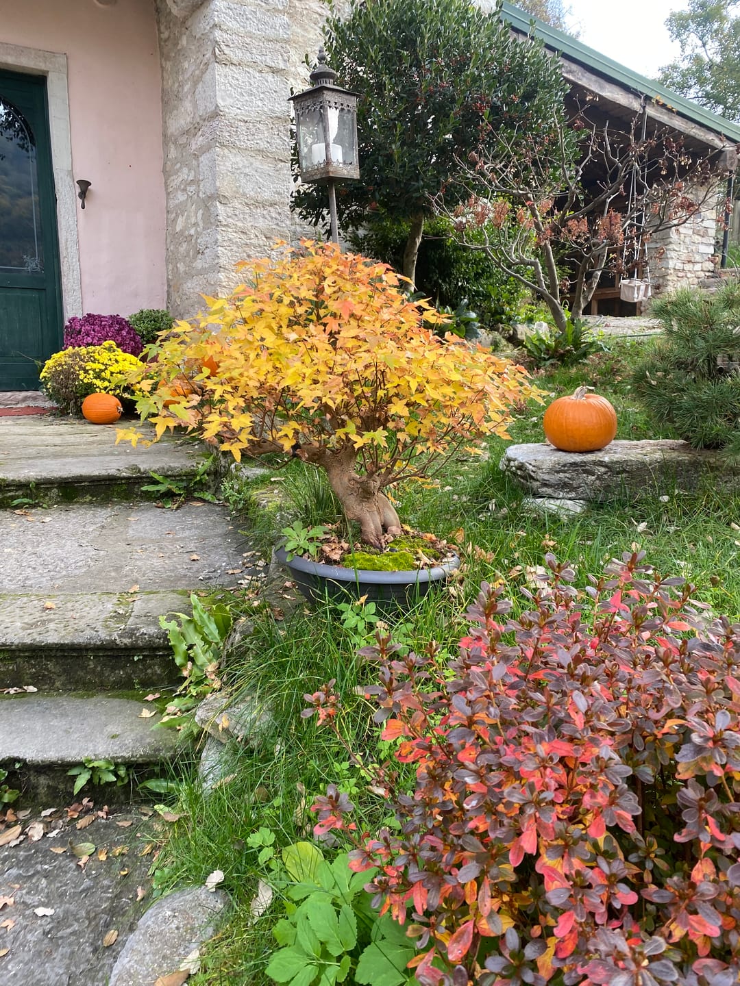 Customer photo review of AUTUNNO PACK