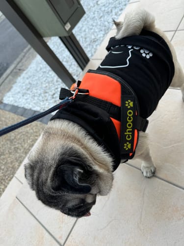 Customer photo review of FunFunPet 高機能ハーネス（お名前タグ作成サービス付き）