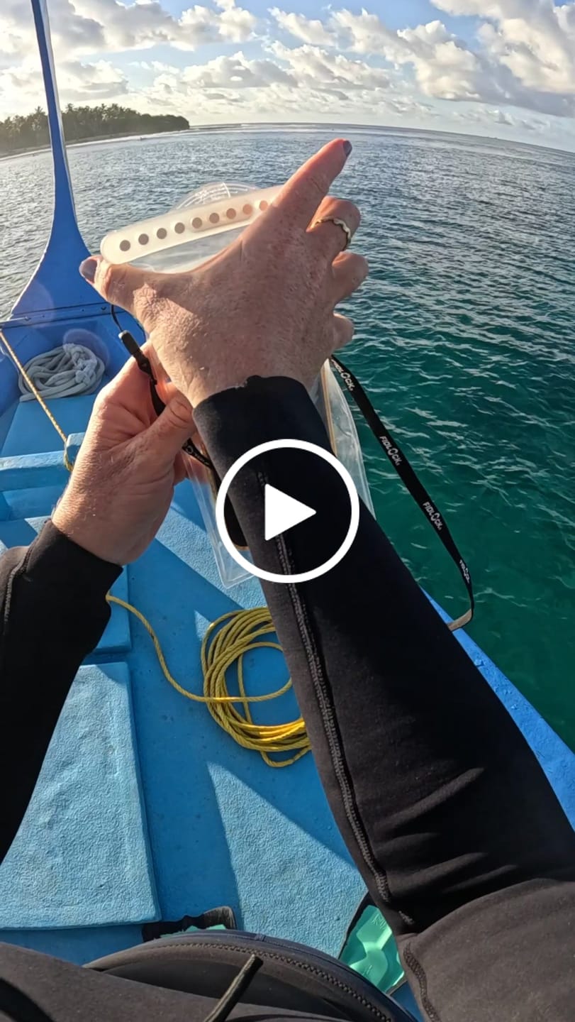 Customer video review of Hermetic Waterproof Phone Case - Dry Pouch Medium