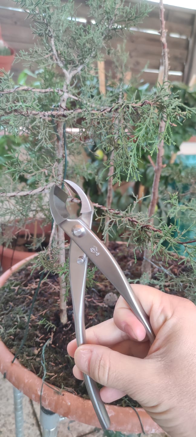 Customer photo review of TRONCHESE PROFESSIONALE CB® INOX 20,5 cm