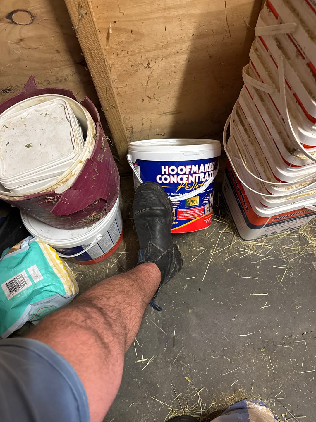 Customer photo review of Hoofmaker Concentrated Pellets