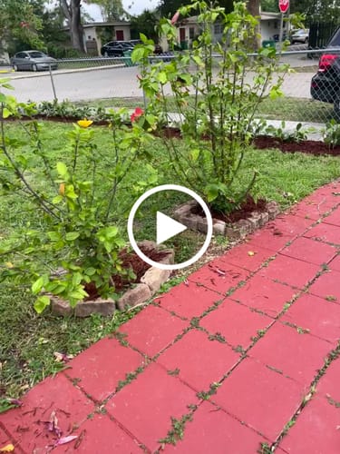 Customer video review of Clusia