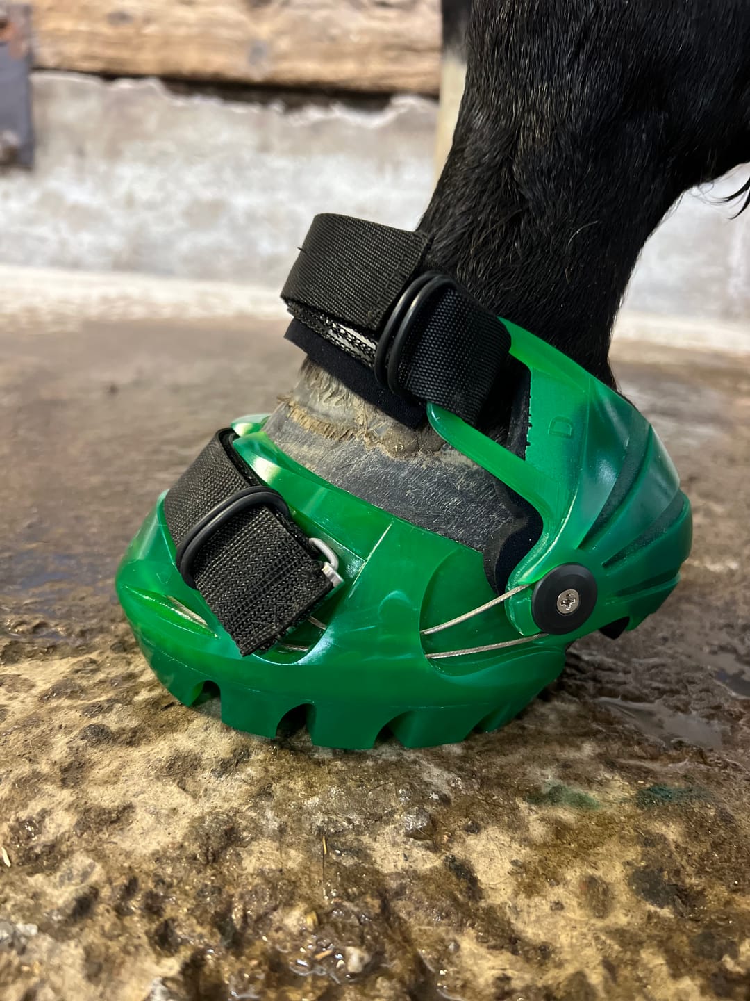Customer photo review of Renegade® Viper™ Emerald Green