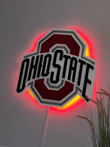 Customer photo review of The Ohio State 3D Metal Artwork