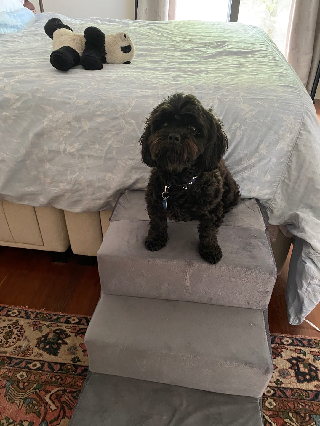 Customer photo review of PaWz Detachable Pet Stairs Grey