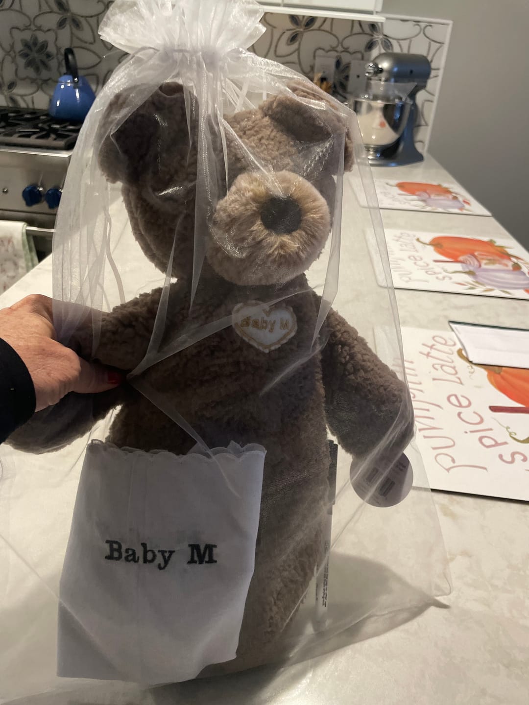 Customer photo review of Blessing Bear™