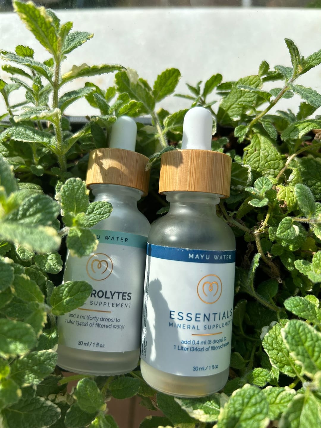 Customer photo review of Trace Mineral & Electrolyte Drops Sampler Kit