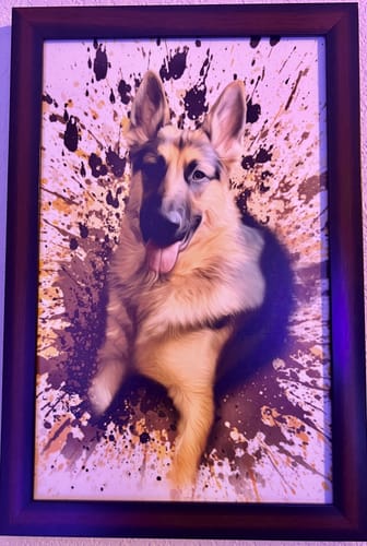 Customer photo review of Personalized Pet Art - Splash Style