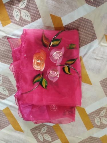 Customer photo review of Rosy World - Special  Organza Saree