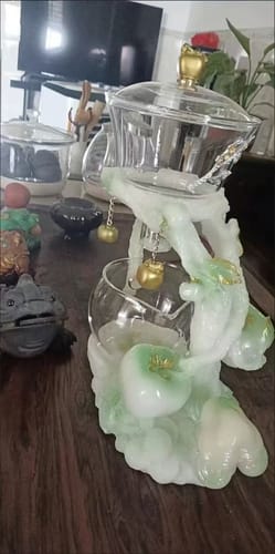 Customer photo review of Lingzhi | HZTEAPOTS®