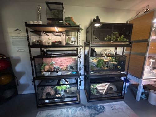 Customer photo review of Reibii 40"W x 20"D Metal Storage Shelves, 2,500lbs Heavy Duty Garage Shelving, Adjustable Shelves for Closet Warehouse Commercial