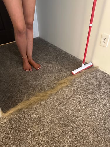 Customer photo review of IndigoPet Hair Removal Broom