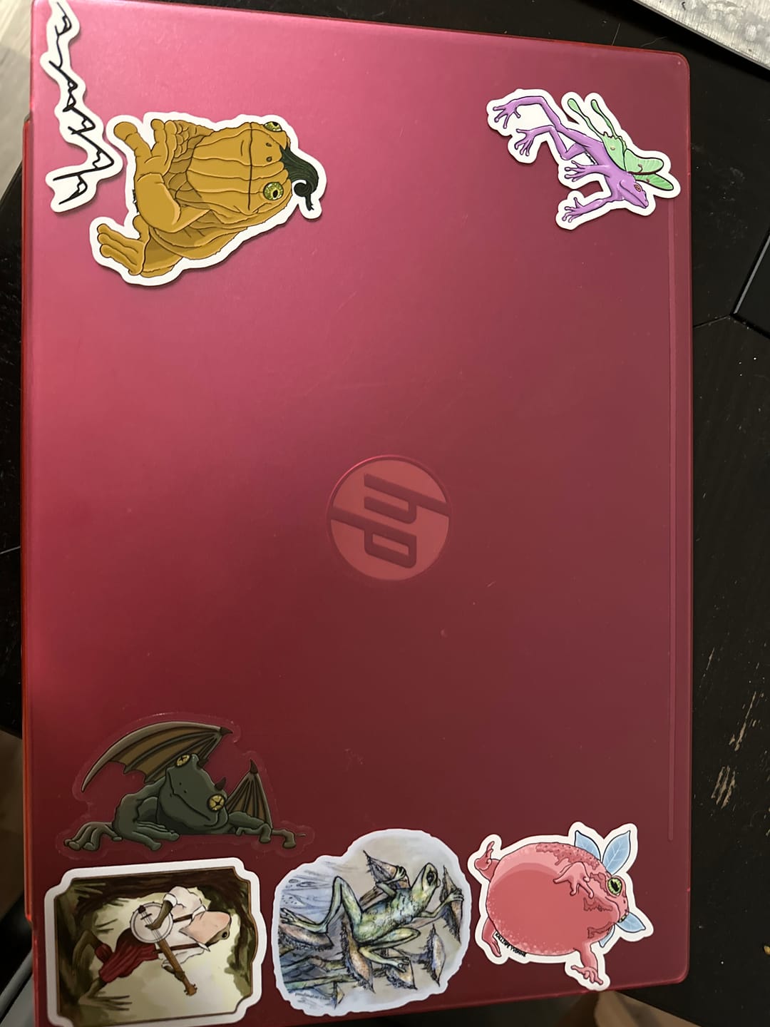 Customer photo review of Limited Edition “Frogoyle” Matte Clear Vinyl Sticker