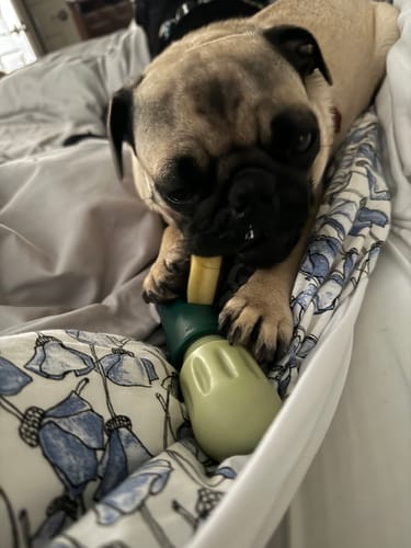 Customer photo review of BANANA YAK CHEWS