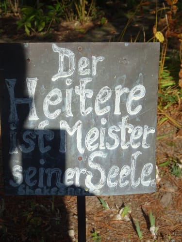 Customer photo review of Holzbogen Set mit 10 Pfeilen, Köcher, 3 Zielscheiben und Aufbewahrungstasche