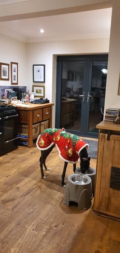 Customer photo review of Sighthound Christmas Tree Warm Fleece Coat