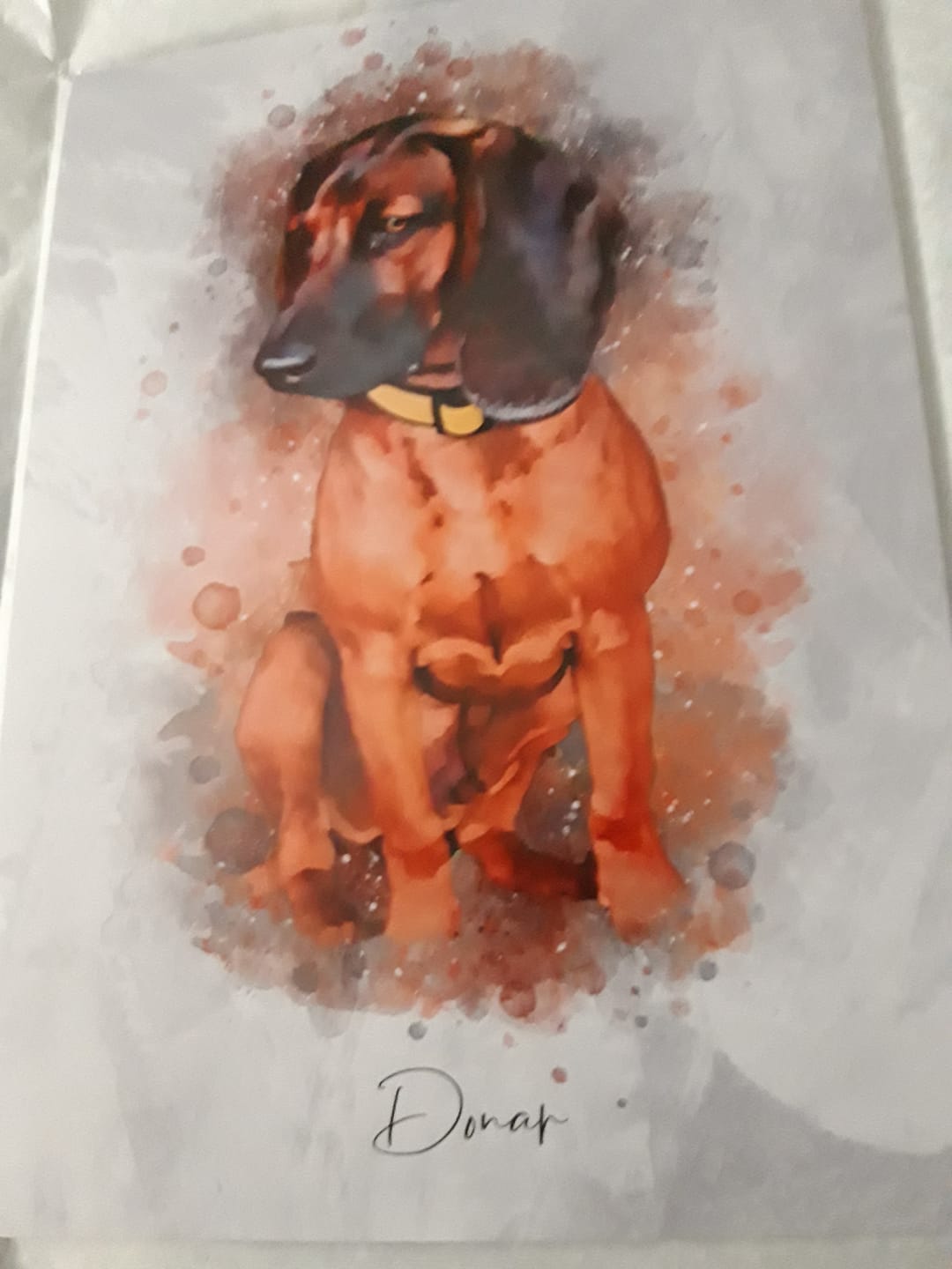 Customer photo review of Dein Hund als Aquarell Tierportrait | Geschenk für Hundebesitzer