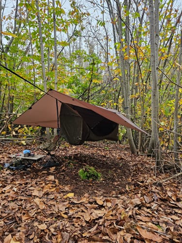 Customer photo review of Haven XL