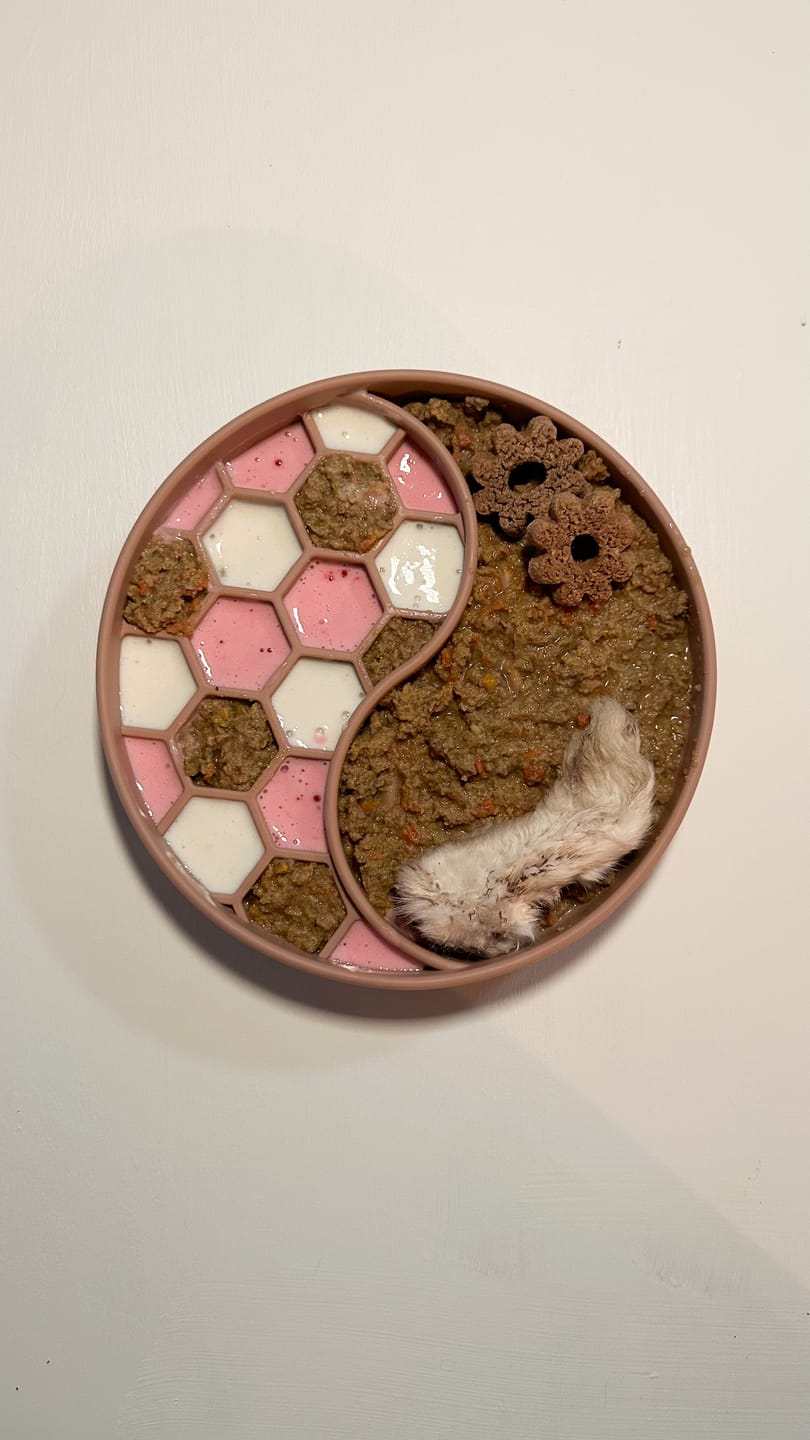 Customer photo review of Limited Edition Biscuits