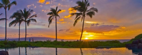 Customer photo review of Body Relief Patch